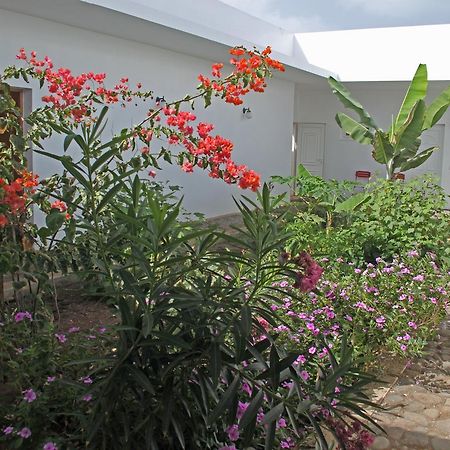 Villa Sao Jose Pedra Badejo  Екстериор снимка