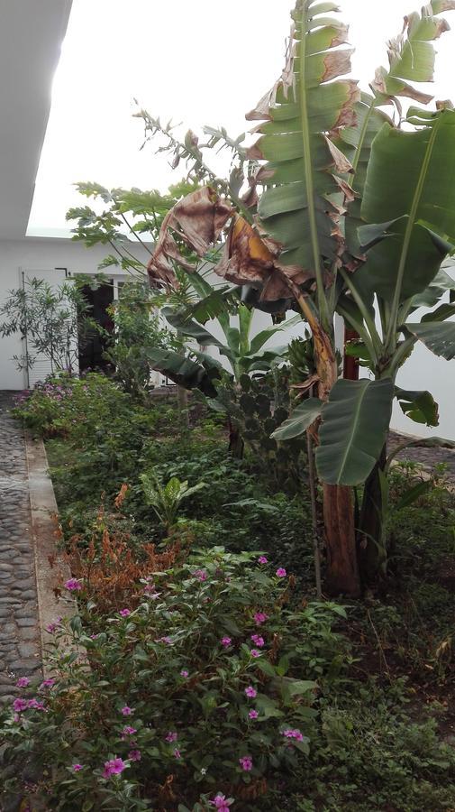 Villa Sao Jose Pedra Badejo  Екстериор снимка